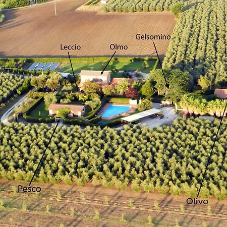 Podere Campi Al Mare Доноратіко Екстер'єр фото