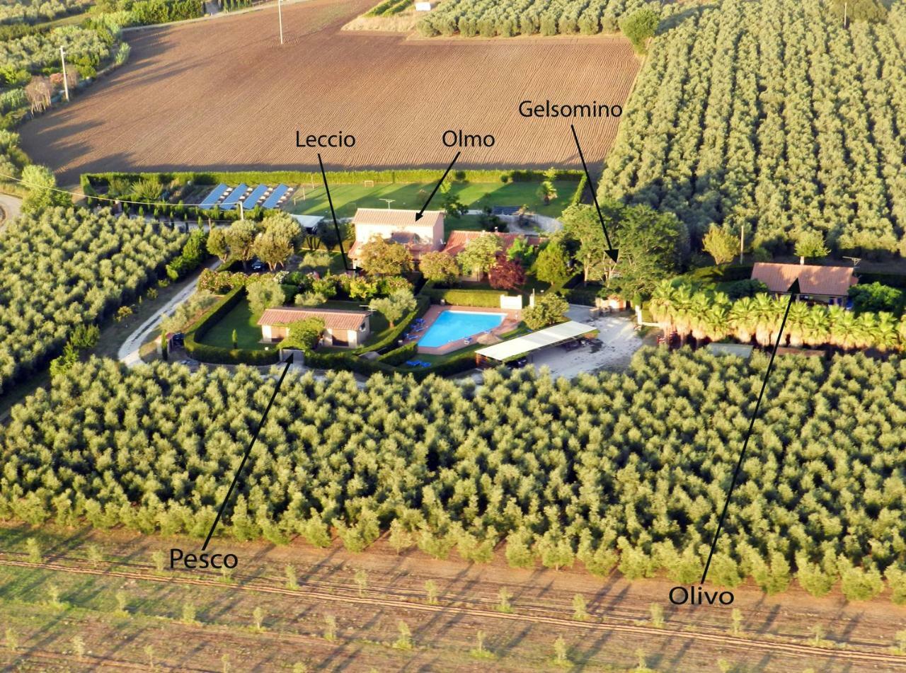 Podere Campi Al Mare Доноратіко Екстер'єр фото